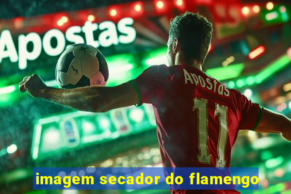 imagem secador do flamengo